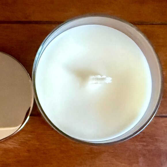 NEW INTO THE NIGHT Single Wick Candle 8oz Bath & Bath Works - Picture 2 of 3